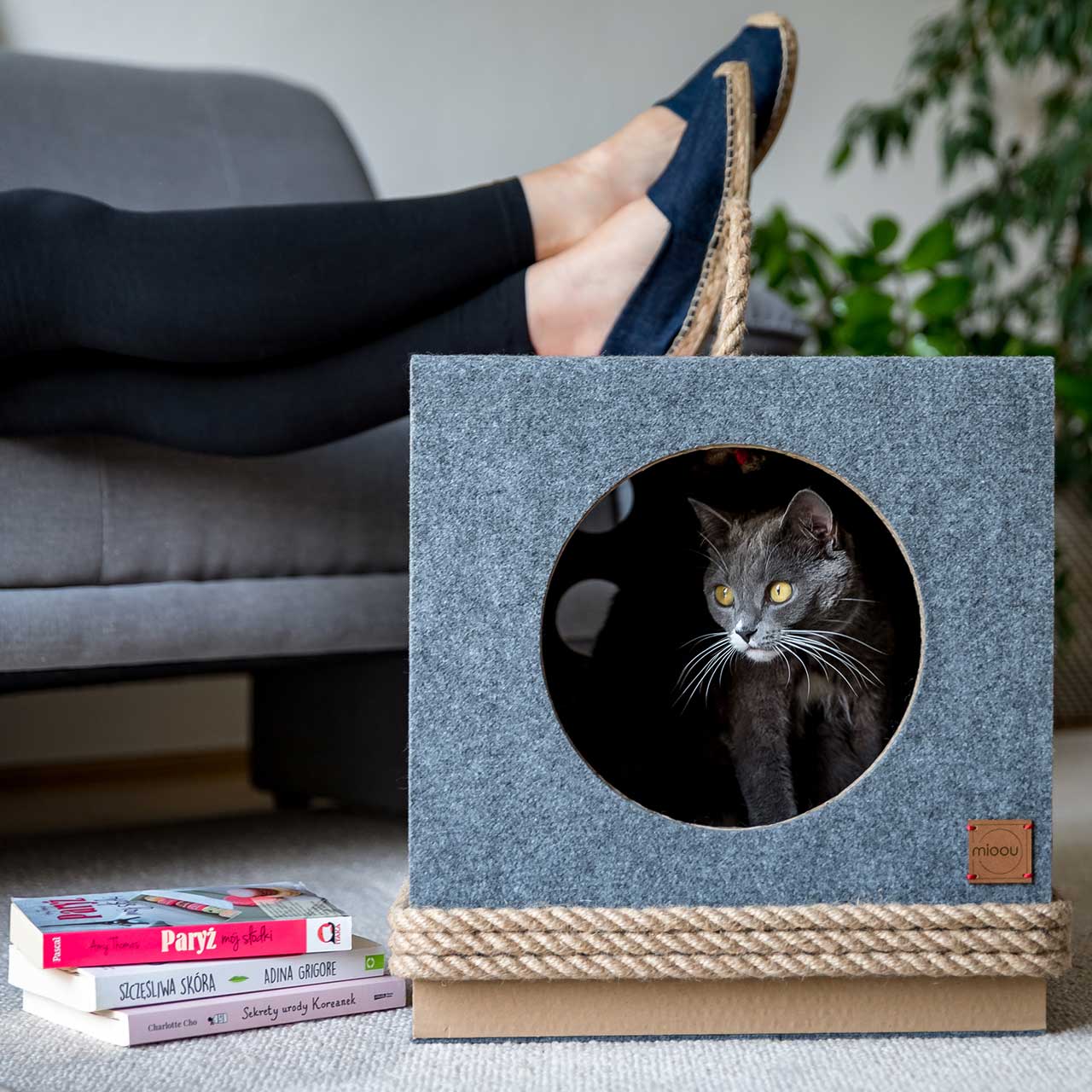 嘉合创通说设计：米欧，建筑师设计的现代猫家具(图4)