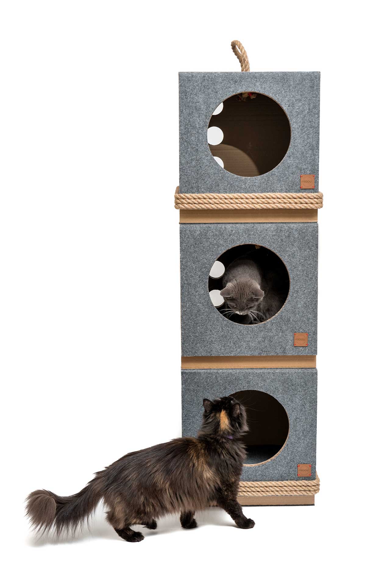 嘉合创通说设计：米欧，建筑师设计的现代猫家具(图12)